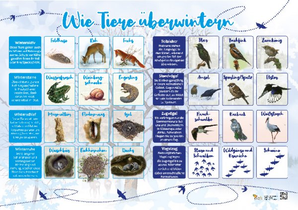 Wie Tiere überwintern