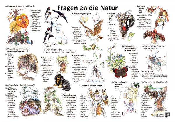 Fragen an die Natur