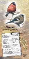 Gimpel
