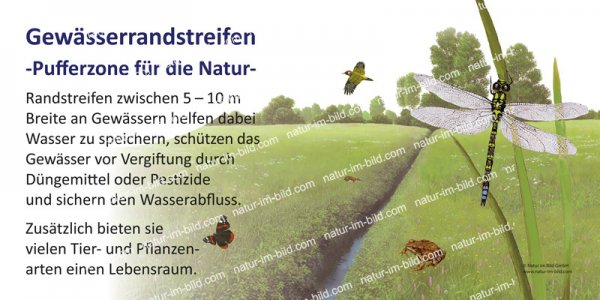 Gewässerrandstreifen