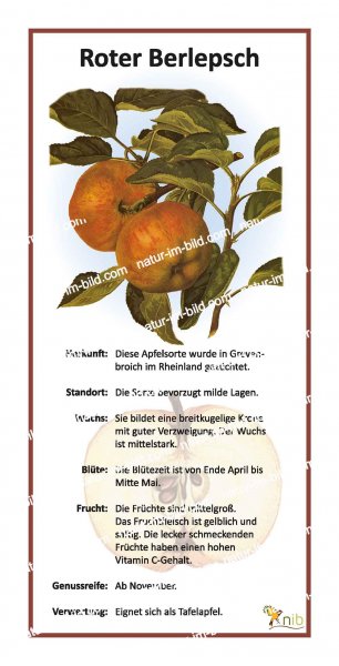 Roter Berlepsch