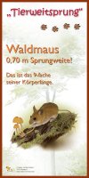 Tierweitsprung Waldmaus