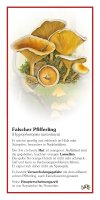Falscher Pfifferling