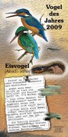 Eisvogel - Vogel des Jahres 2009