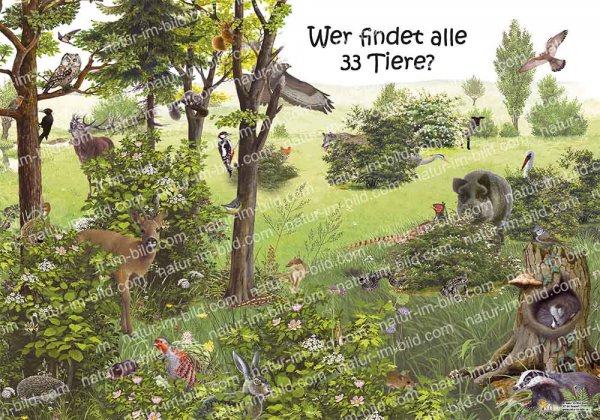Wer findet alle 33 Tiere?
