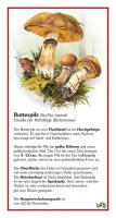 Butterpilz