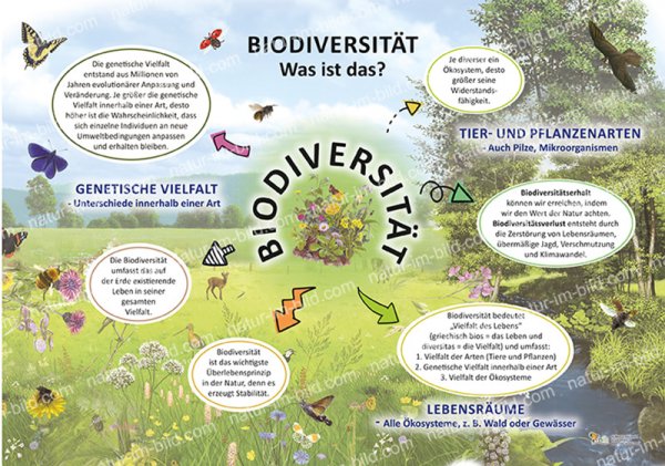 Biodiversität - Was ist das