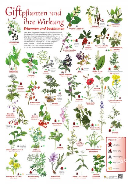 Giftpflanzen und ihre Wirkung