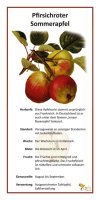 Pfirsichroter Sommerapfel