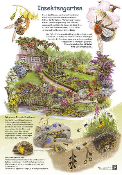 Insektengarten