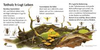 Totholz bringt Leben