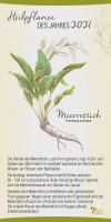 2021 Meerrettich
