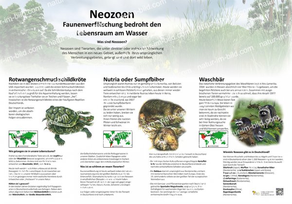 Neozoen