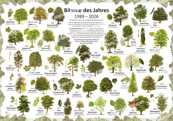 Bäume des Jahres 1989-2026