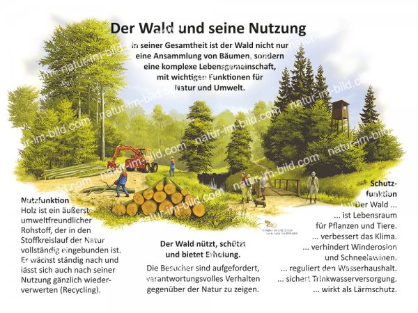 Der Wald und seine Nutzung