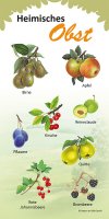 Heimisches Obst
