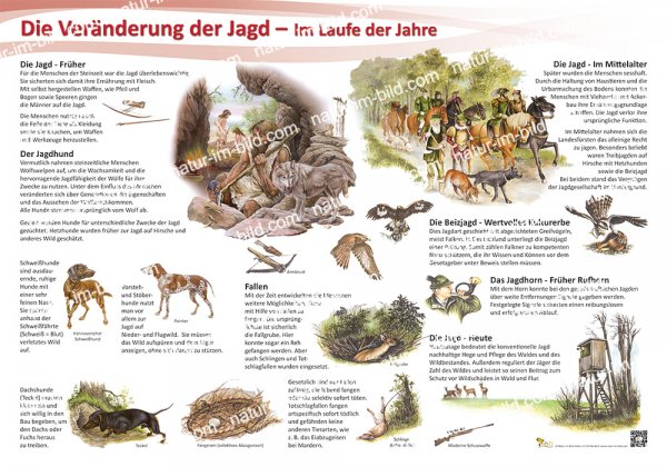 Die Veränderung der Jagd - Im Laufe der Jahre
