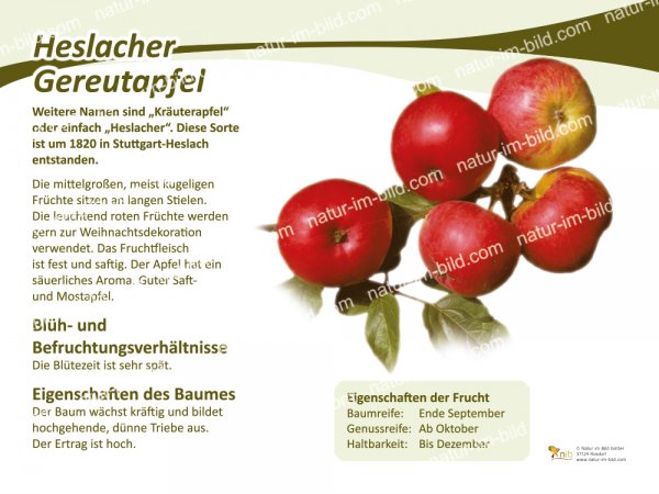 Heslacher Gereut
