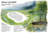 Wasser und Wald