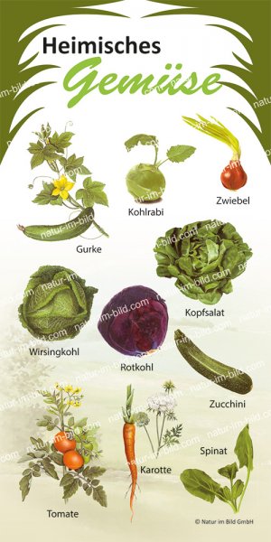 Heimisches Gemüse