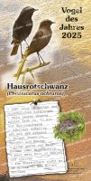Hausrotschwanz - Vogel des Jahres 2025