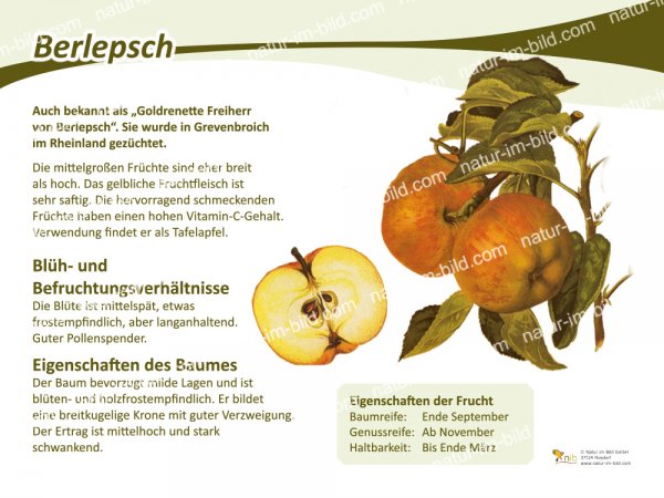Berlepsch