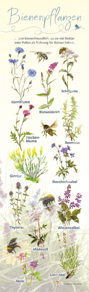 Bienenpflanzen, 21 x 70 cm, 10 mm HPL