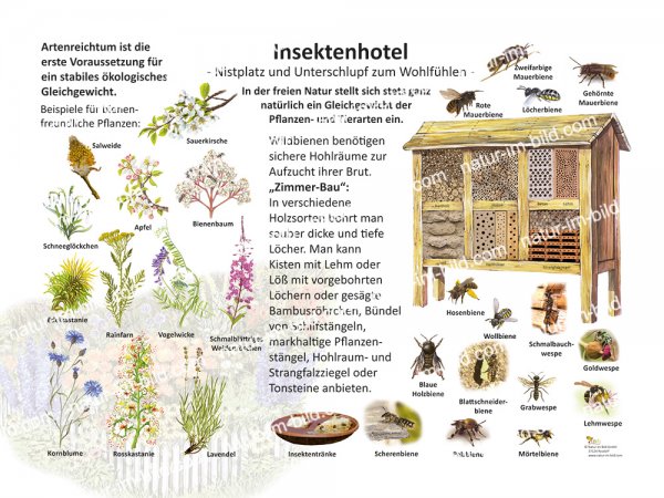 Insektenhotel
