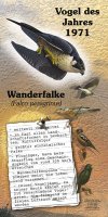 Wanderfalke - Vogel des Jahres 1971