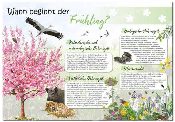 Wann beginnt der Frühling