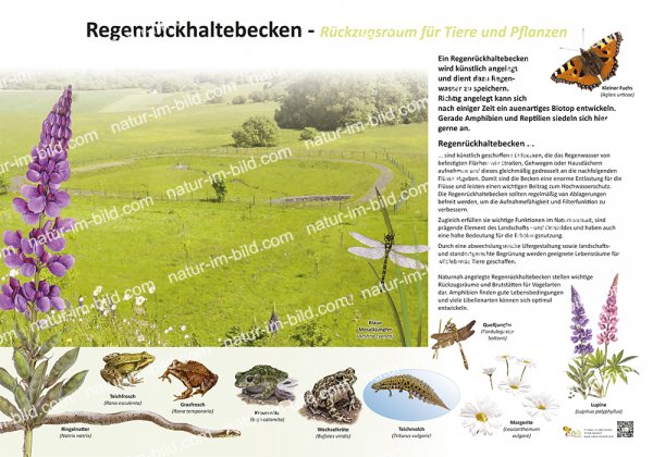 Regenrückhaltebecken