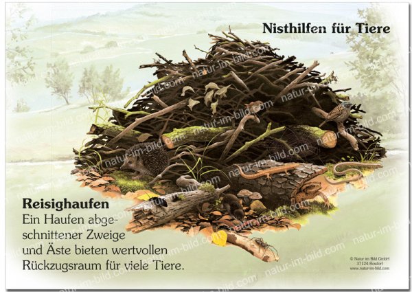 Artenvielfalt erhalten - Lebensraum für Tiere schaffen - Reisighaufen