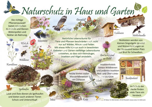Naturschutz in Haus und Garten