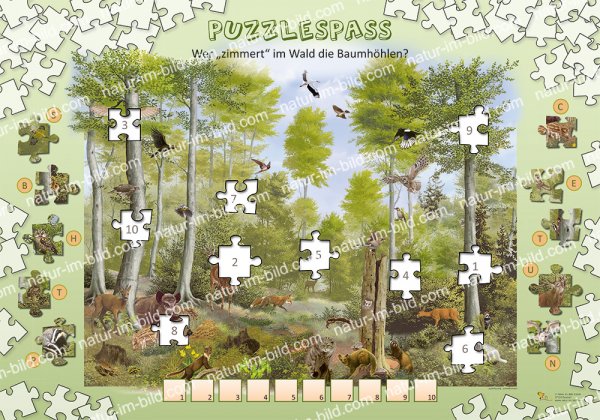 Wer "zimmert" im Wald die Baumhöhlen? - Puzzlespass