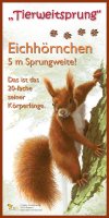 Tierweitsprung Eichhörnchen
