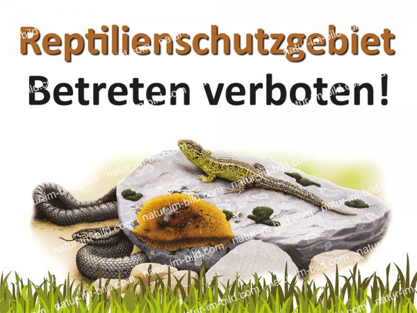 Reptilienschutzgebiet