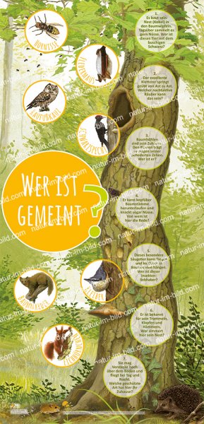 Wer ist gemeint? - 60 x 125 cm