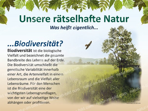 Biodiversität