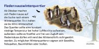 Fledermauswinterquartier