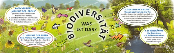 Biodiversität - was ist das?, 70 x 21 cm