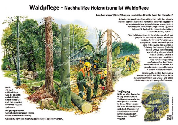 Waldpflege