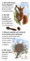 Eichhörnchen - Quiz