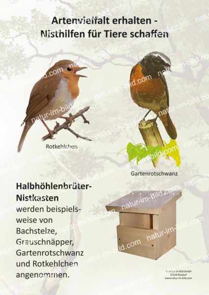 Nisthilfe für Tiere - Nistkasten für Halbhöhlenbrüter