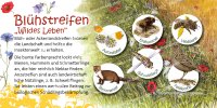 Blühstreifen