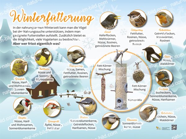 Winterfütterung - Wer frisst was