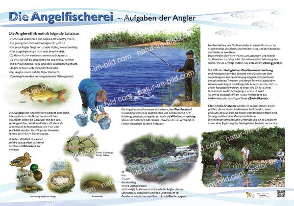 Die Angelfischerei - Aufgaben der Angler