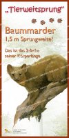 Tierweitsprung Baummarder