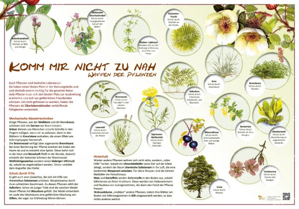 Komm mir nicht zu nah