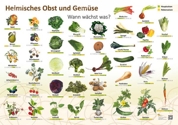 Heimisches Obst und Gemüse - Wann wächst was?