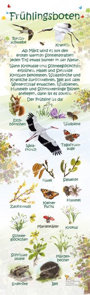 Frühlingsboten, 21 x 70 cm